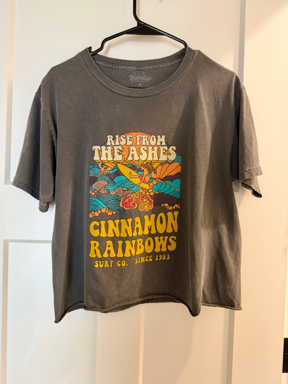 Cinnamon Rainbows "Rise From The Ashes" Graphic Tee - Charcoal